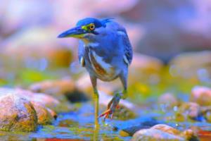 法甲联赛8点，一场激情与智慧的较量法甲联赛8点